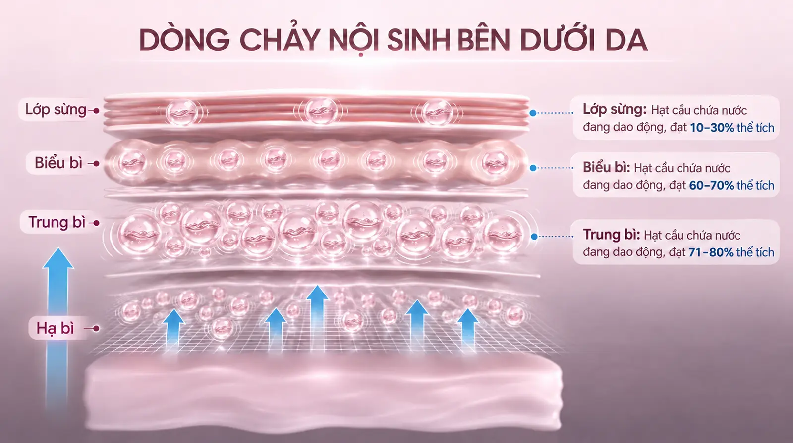 Dòng chảy nội sinh bên dưới da