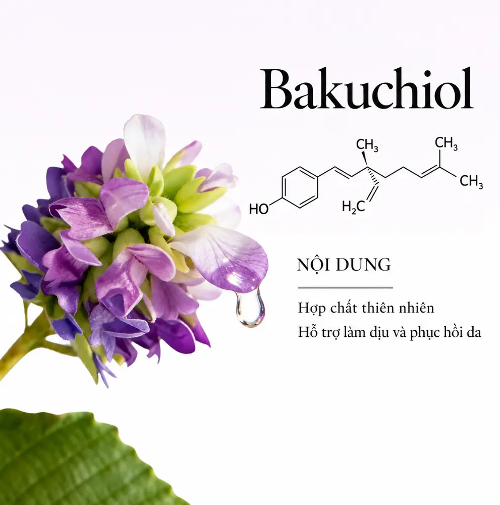 Cấu trúc và công dụng Bakuchiol