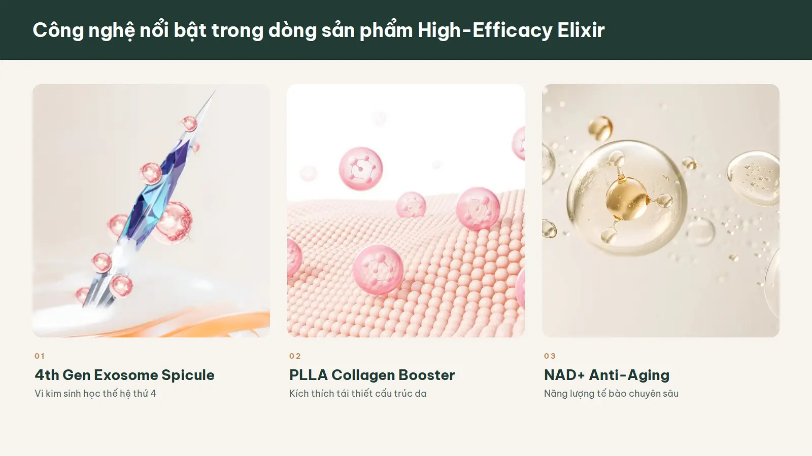 Công nghệ nổi bật trong dòng sản phẩm High-Efficacy Elixir
