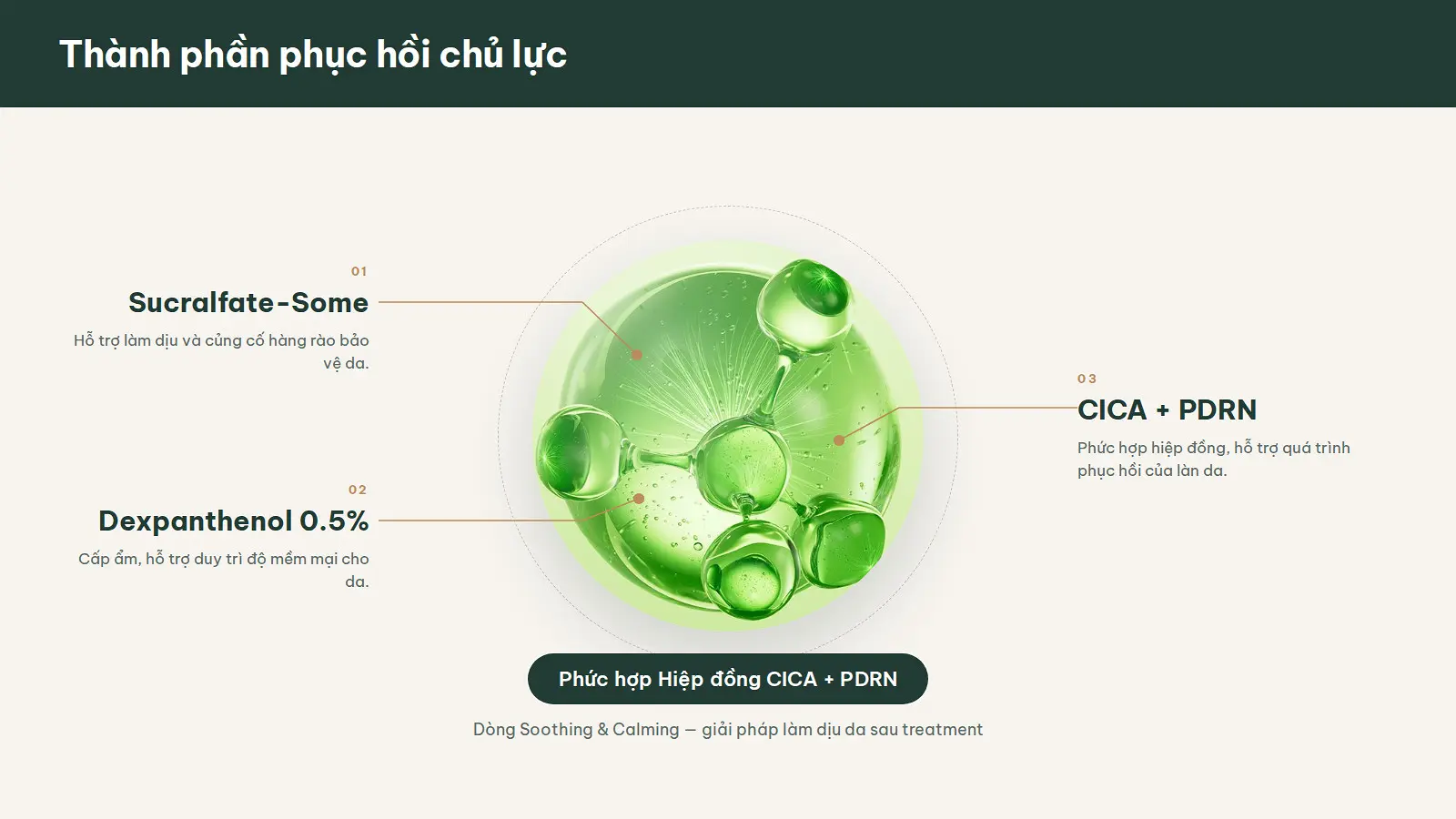 Thành phần phục hồi chủ lực